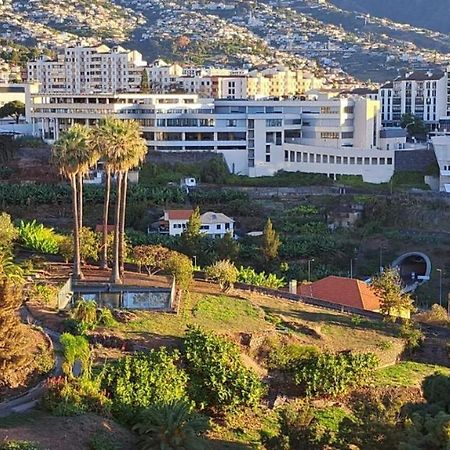 Magnolia Apartment Luxury Apt Great Views Funchal  Extérieur photo